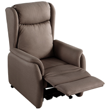 liftchair 2 motors