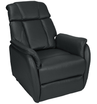 liftchair 2 motors