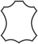 icon leather