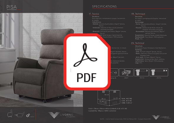 Pisa pdf