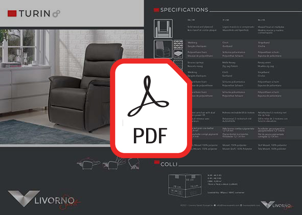 Turin pdf