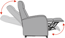 liftchair 2 motors